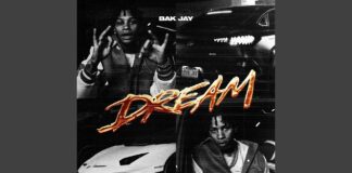 BAK Jay Dream Single Review: Fort Worth Rapper Pivots to Melodic Trap