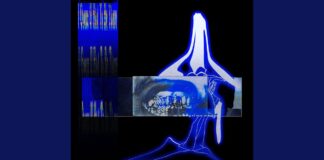 E L U C I D & Sebb Bash: A Deep Dive into “First Light”
