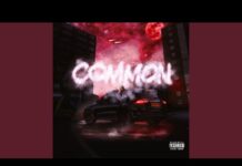 Pozer – Common | A Deep Dive Into the New UK Rap Anthem