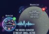 Micro-Curator Strategy: Why Small Playlists Beat Massive Ones