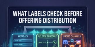 What Boutique Indie Labels Check Before Distribution Deals
