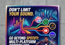 Why Independent Artists Must Diversify Beyond Spotify for Growth
