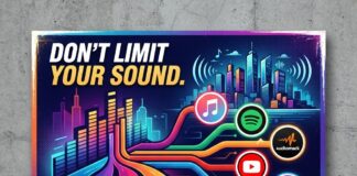Why Independent Artists Must Diversify Beyond Spotify for Growth