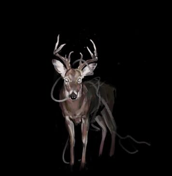 Token & Connor Price Bambi: The Ultimate Rap Collaboration Breakdown