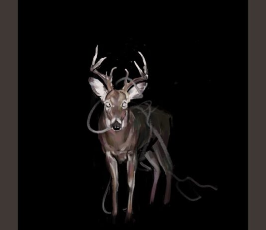 Token & Connor Price Bambi: The Ultimate Rap Collaboration Breakdown