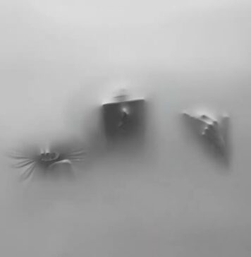 Yeat and Drake Reconnect on “MISS MY DAWG” From New COCOON EP