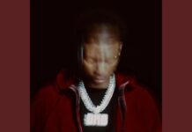 Nemzzz & Travis Scott Unite on “GASS” From LOCKED IN