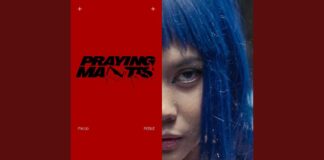 Reble Praying Mantis: The Ultimate Anthem for Creative Survival