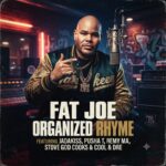 Fat Joe Organized Rhyme Album Review & East Coast Hip-Hop Comeback