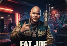 Fat Joe Organized Rhyme Album Review & East Coast Hip-Hop Comeback