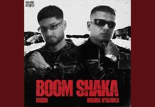 KR$NA and Dhanda Nyoliwala Boom Shaka: Track Review & Impact