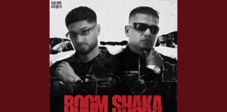 KR$NA and Dhanda Nyoliwala Boom Shaka: Track Review & Impact