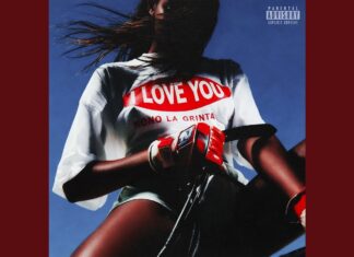 Nono La Grinta LOVE YOU: Why the Hit Track Is Exploding Everywhere