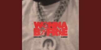 Meek Mill & G Herbo – “Wanna Be Free” Song Review & Lyric Meaning