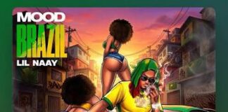 Lil Naay MOOD BRAZIL: Why This Track Is Exploding Online